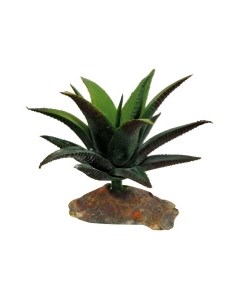 Декоративное растение для террариумов Succulent 10см Германия Lucky reptile