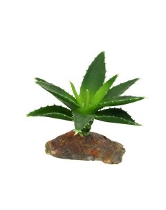 Декоративное растение для террариумов Agava 10см Германия Lucky reptile