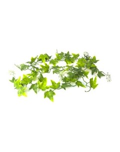 Декоративное растение для террариумов Ivy Vine 200см Германия Lucky reptile