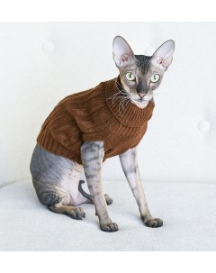 Свитер для кошек и собак Libre коричневый M Lelap одежда