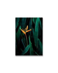 Картина на холсте Тропический цветок Дом корлеоне