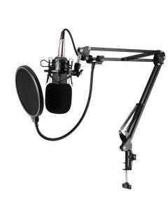 Микрофон BM 800 Black Baziator