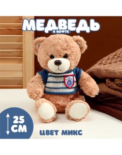 Мягкая игрушка Медведь в полосатой кофте 25 см цвет МИКС Nobrand