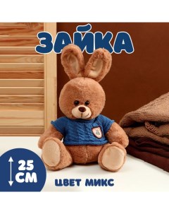 Мягкая игрушка Зайка в свитере 25 см цвет МИКС Nobrand