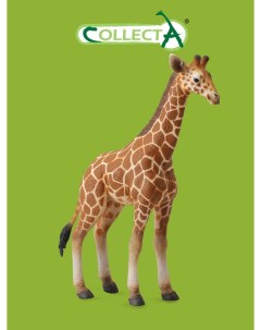 Фигурка животного Жеребенок сетчатого жирафа Collecta