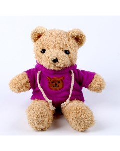 Мягкая игрушка Медведь в кофте 30 см цвет фиолетовый Nobrand