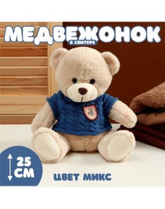 Мягкая игрушка Медвежонок в свитере 25 см цвет МИКС Nobrand