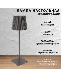 Лампа настольная светодиодная с аккумулятором 3 5Вт 3000 6000К серый Fedotov