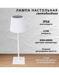 Лампа настольная светодиодная с аккумулятором 3 5Вт 3000 6000К белый Fedotov