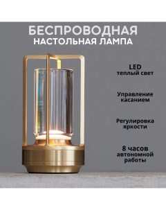 Лампа настольная светодиодная с аккумулятором LED 3000К бронза Fedotov