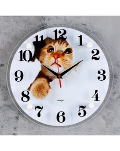 Часы настенные серия Животный мир Кот 30х30 см микс Nobrand