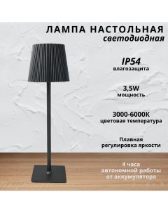 Лампа настольная светодиодная с аккумулятором 3 5Вт 3000 6000К черный Fedotov