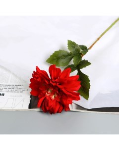 Цветы искусственные Георгина экстра галант 60 d 15 см бордовый Poetry in flowers