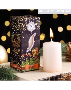 Свеча ароматическая новогодняя Тепла и уюта 4x6 см имбирное печенье Богатство аромата