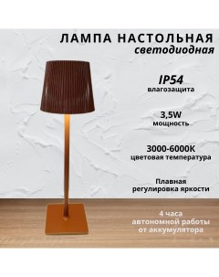 Лампа настольная светодиодная с аккумулятором 3 5Вт 3000 6000К коричневый Fedotov