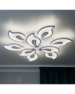 Люстра потолочная светодиодная Хризантема 9 с пультом Nobrand