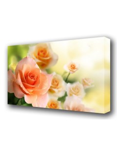 Картина на холсте Аромат розы 60100 см Topposters