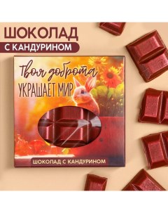 Шоколад Твоя доброта украшает мир с красным кандурином 50 г Фабрика счастья