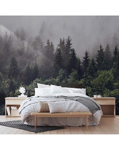 Фотообои флизелиновые встык Лес и туман 300х270 см 155 ФФО 02812 Verol