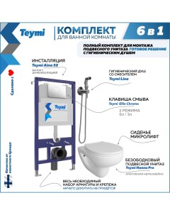 Комплект 6в1 Инсталляция клавиша хром унитаз гигиенический душ F08010 Teymi