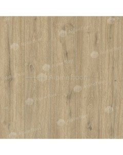 Виниловый ламинат Solo Plus ЕСО 14 1001 Анданте Alpine floor
