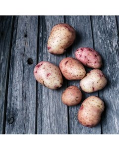 Картофель семенной Аворора 3 кг 70 шт Fermeko