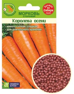 Семена Морковь столовая Королева Осени 62752 300 семян в упаковке Семена алтая