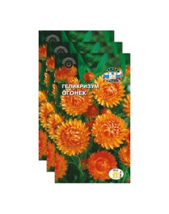 Комплект семян гелихризум Огонёк Однолетние 23 04351 3 упаковки Седек