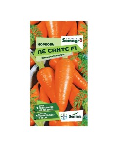 Семена Морковь Ле Санте F 200 шт Seminis