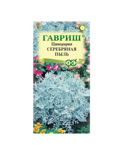 Семена Цинерария Серебряная пыль приморская 0 05 г Гавриш