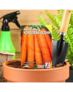 Семена Морковь Королева осени 2 г Сембат