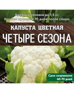 Семена Аэлита Капуста цветная Четыре сезона 0 5гр Дивный мир