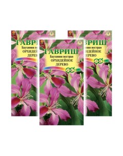 Комплект семян Баухиния Орхидейное дерево пурпурная 94085 3 шт в уп 3 шт Гавриш