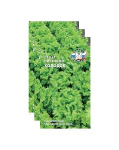 Комплект семян салат листовой Холодок Раннеспелые 23 04138 3 упаковки Седек