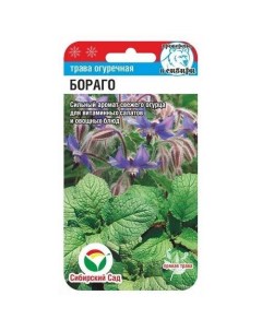 Семена Огуречная трава Бораго 63806 0 5 гр Сибирский сад