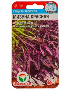 Семена капуста японская Мизуна красная 7764 1 уп Сибирский сад