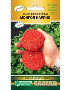 Семена томат Монгол Карлик 1 уп Евросемена