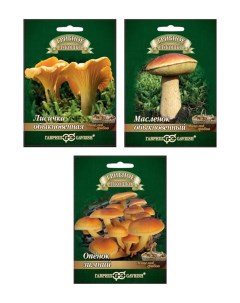 Набор семян мицелий грибов Лесное чудо 95124 15 мл 3 шт Гавриш