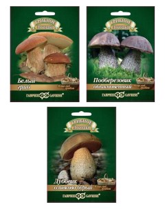 Набор семян мицелий грибов Сказка леса 95122 15 мл 3 шт Гавриш
