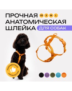 Шлейка для собак анатомическая оранжевая полиэстер размер XS Pro comfort