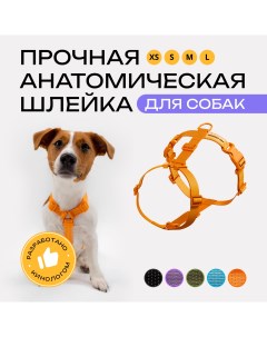 Шлейка для собак анатомическая оранжевая полиэстер размер S Pro comfort