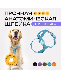 Шлейка для собак анатомическая голубая полиэстер размер L Pro comfort