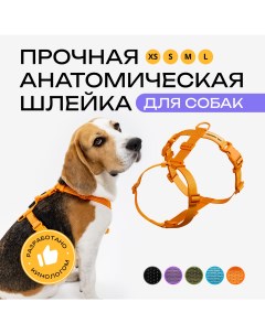 Шлейка для собак анатомическая оранжевая полиэстер размер М Pro comfort