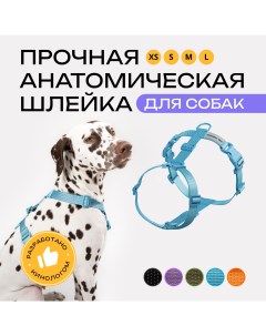 Шлейка для собак анатомическая голубая полиэстер размер М Pro comfort