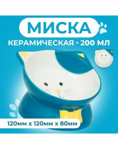 Миска для кошек Киса на подставке лапках голубая керамика 200 мл 13 х 12 х 8 см Пижон