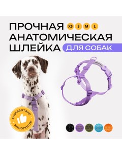 Шлейка для собак анатомическая фмолетовая полиэстер размер L Pro comfort