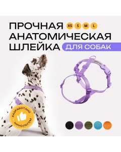 Шлейка для собак анатомическая фиолетовая полиэстер размер М Pro comfort