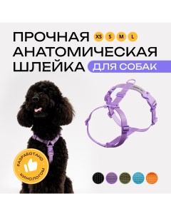 Шлейка для собак анатомическая фиолетовая полиэстер размер XS Pro comfort