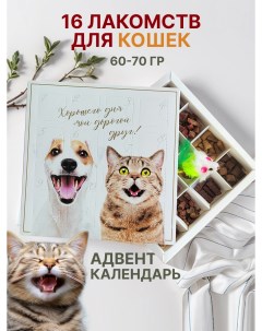 Лакомства для кошек адвент календарь лосось 70 г Spb.zooshop
