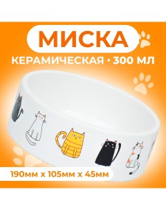 Миска для кошек Котяры белая керамика 300 мл 12 5 x 4 5 cм Пижон